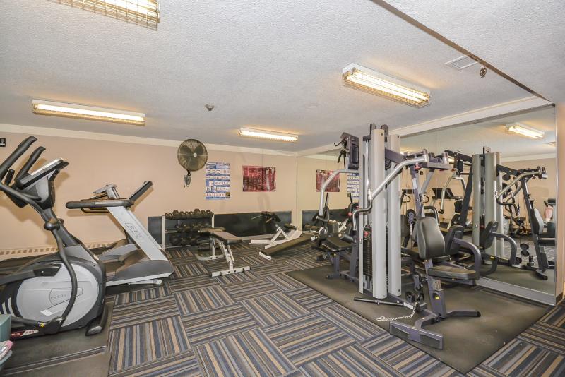 Amenities 
