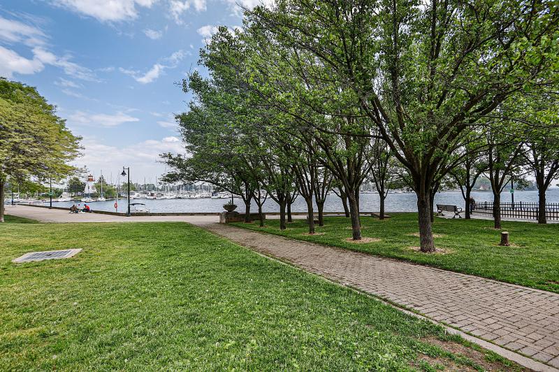 Walk to the lake