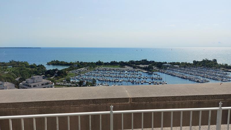Terrace View